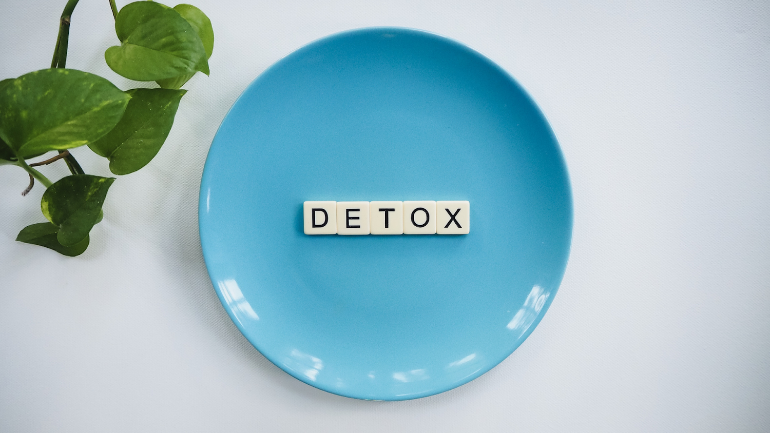 How To Detox From EMF